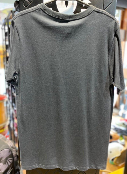 Remera Etnies Iconic