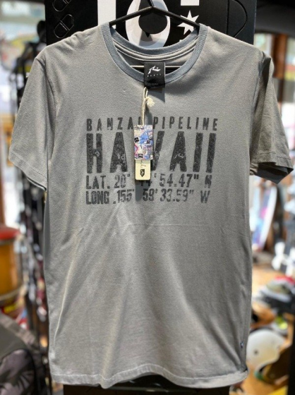 Remera Rusty Hawai Aloha