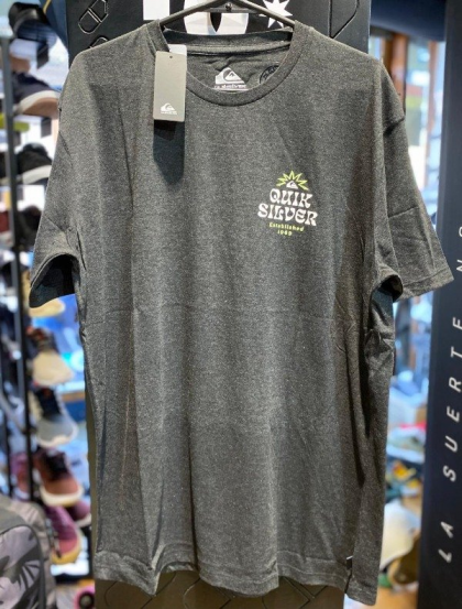 Remera Quiksilver Framed I