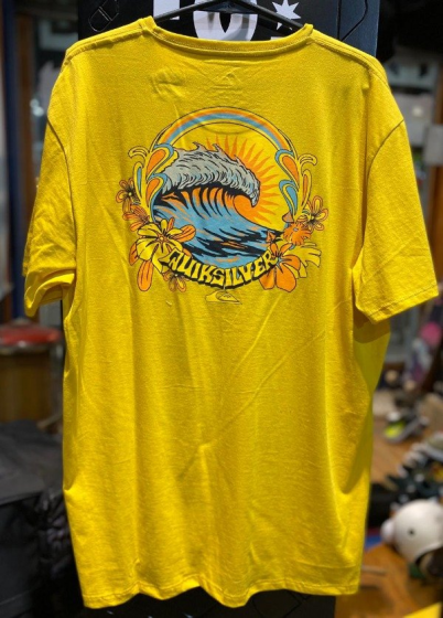 Remera Quiksilver Scenic Warp