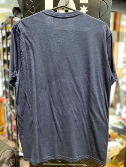 Remera Quiksilver Mountain Trip