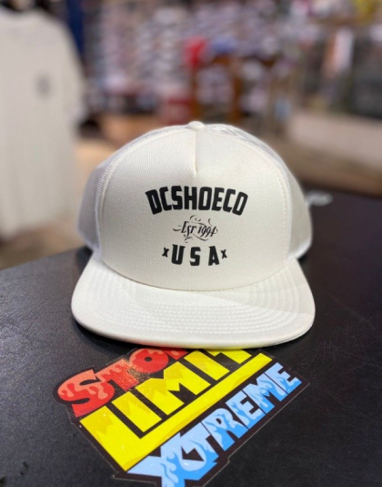 Gorra Dc Wall Bitten white