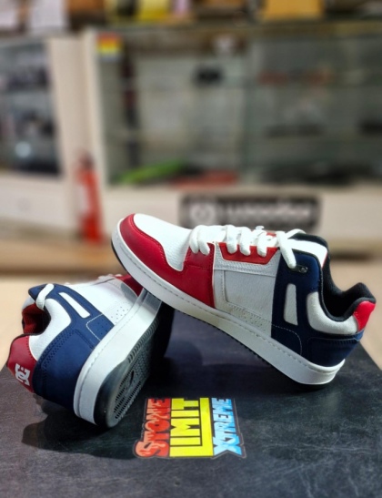 Zapatilas DC Shoes Stag Pro SS