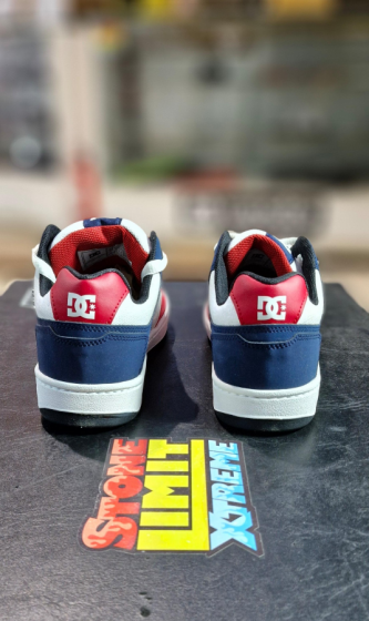 Zapatilas DC Shoes Stag Pro SS