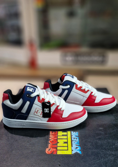 Zapatilas DC Shoes Stag Pro SS