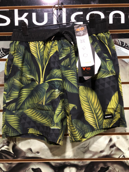 SPY Plant Black